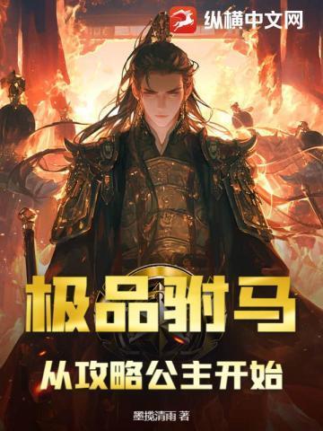 极品驸马作者