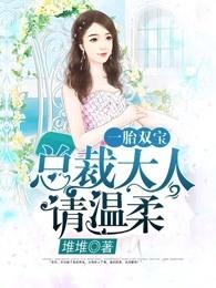 一胎双宝总裁大人请温柔阮白