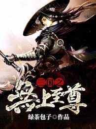 三国之无上至尊无错版