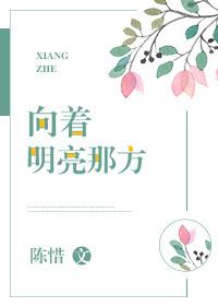 向着明亮那方诗词全文